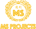 MS Projects