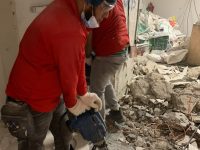 imgpsh fullsize anim 7 1